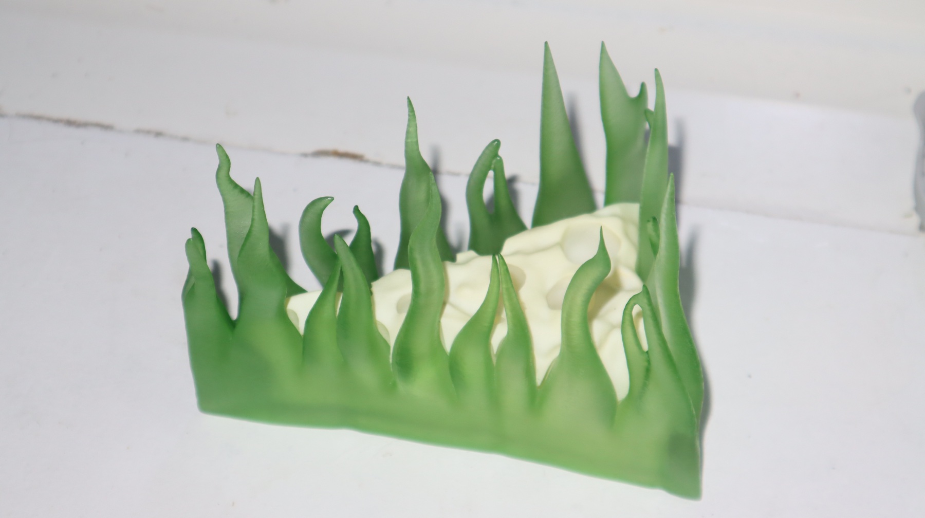 Central Park Cheesecake: green grass-like forms surrounding a pale cheese-shaped centre, photographed in daylight.