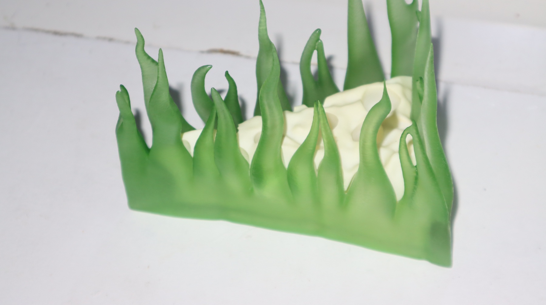 Close view of the green surface texture and pale cheese-like holes.