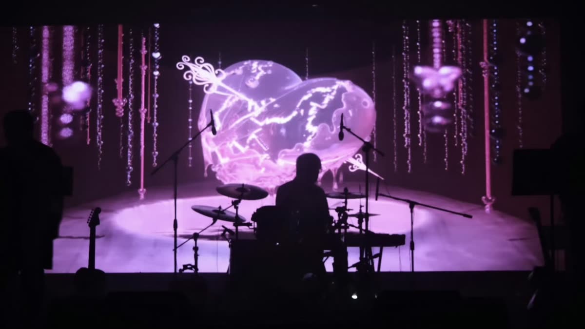Concert photo 4