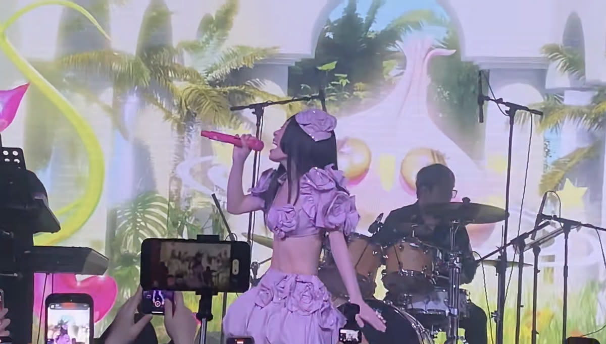 Concert photo 5