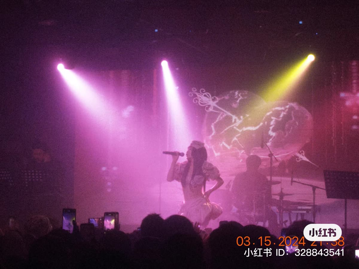 Concert photo 6