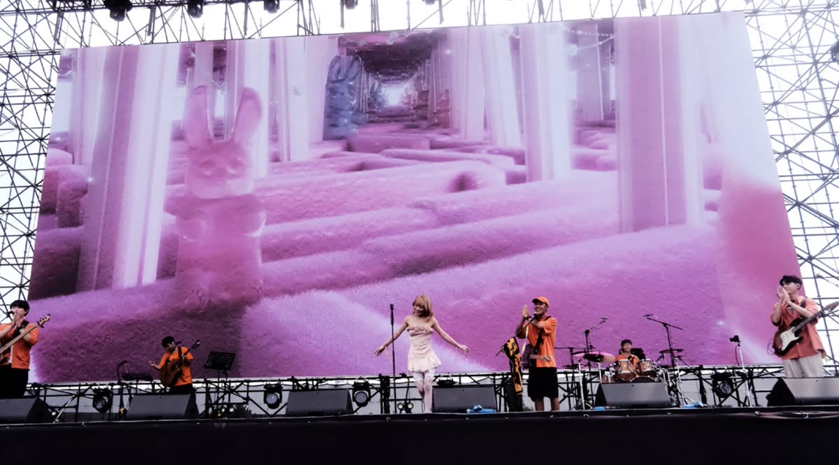 Concert photo 7