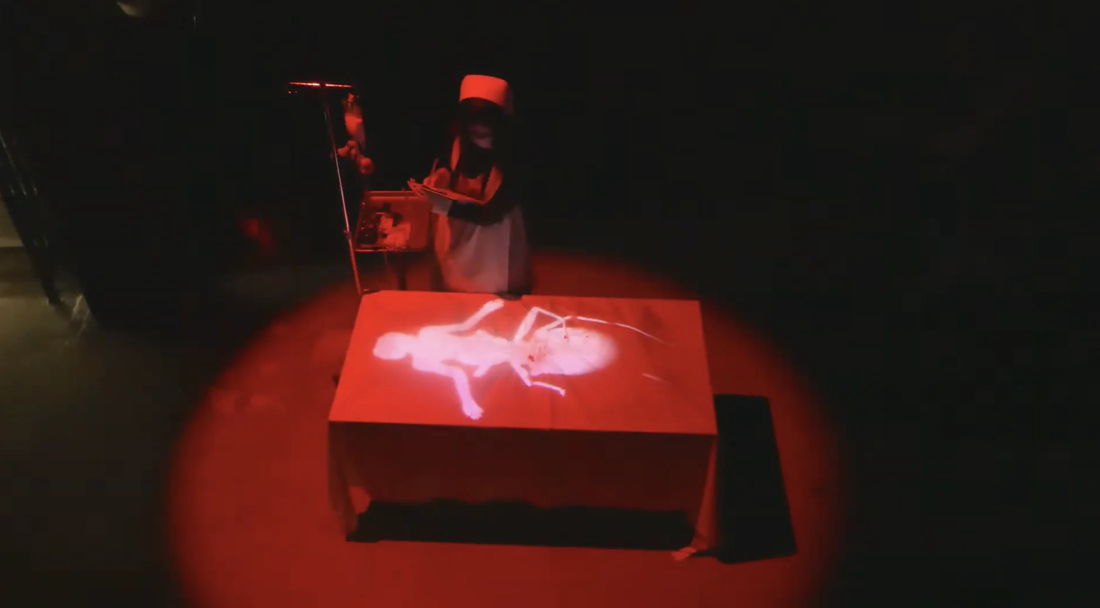 A performer holding an object above a projected body